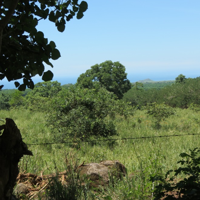 Paisagem da Ilha Santa Cruz / Santa Cruz´s island landscape